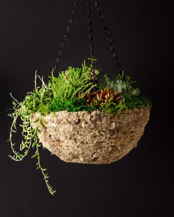 MossWeave Round Hanging Basket Blond