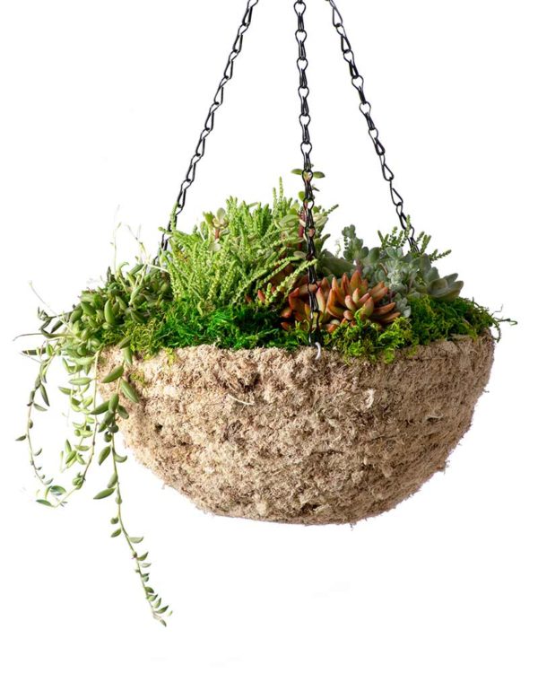 MossWeave Round Hanging Basket Blond