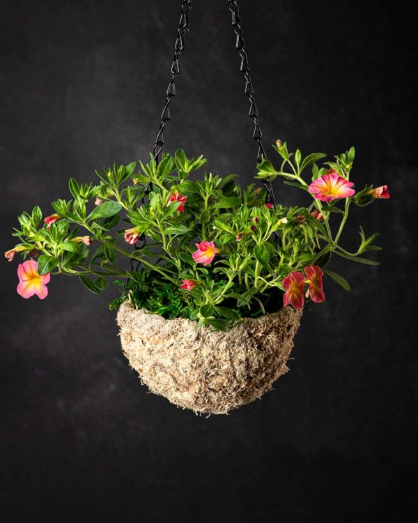 MossWeave Mini Hanging Basket Blond Round