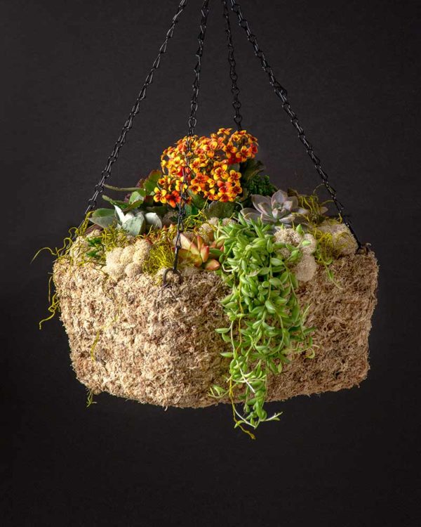 MossWeave Square Hanging Basket Blond