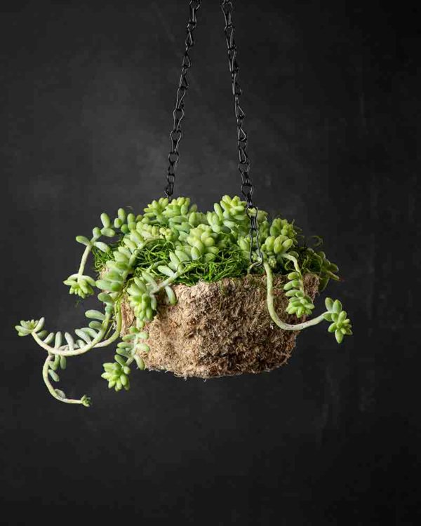 MossWeave Mini Hanging Basket Blond Square