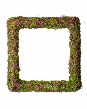 Orchard Grapevine Wreath, 10, 3 Pack