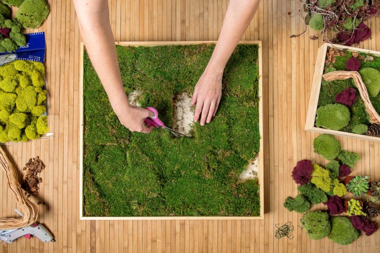 How to Make Your Own Moss Wall SuperMoss