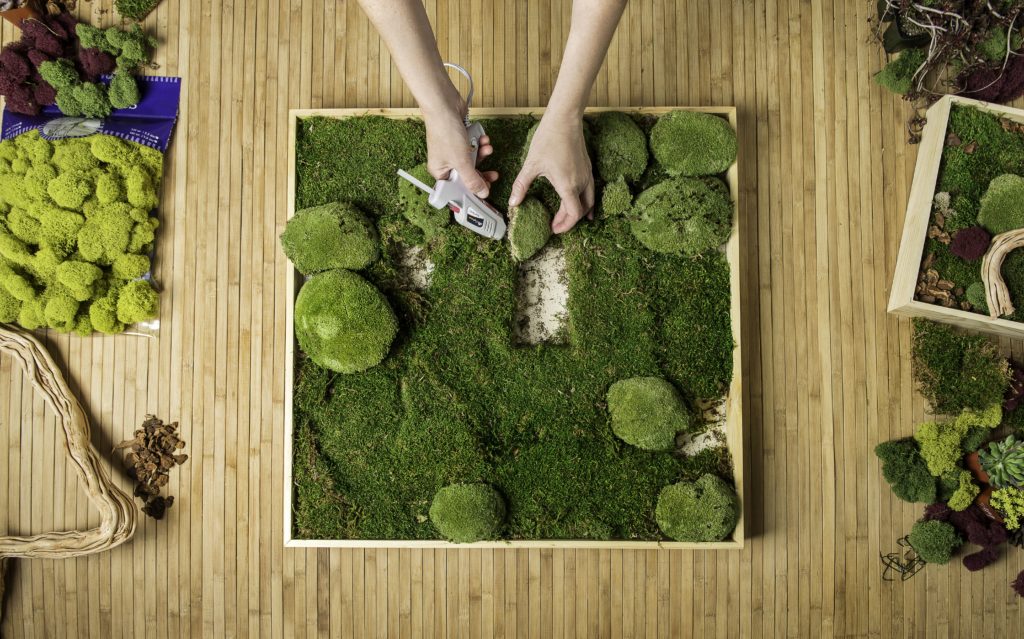How to Make Your Own Moss Wall SuperMoss