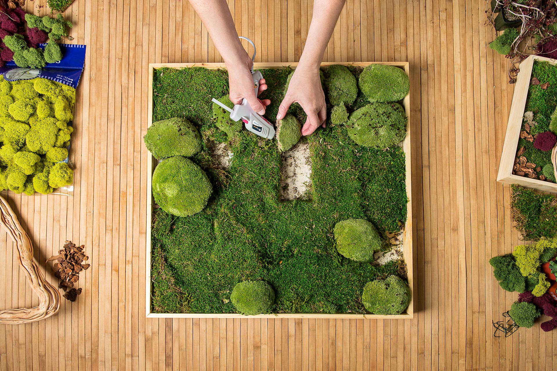 DIY Moss Art – Home Sweet Homes