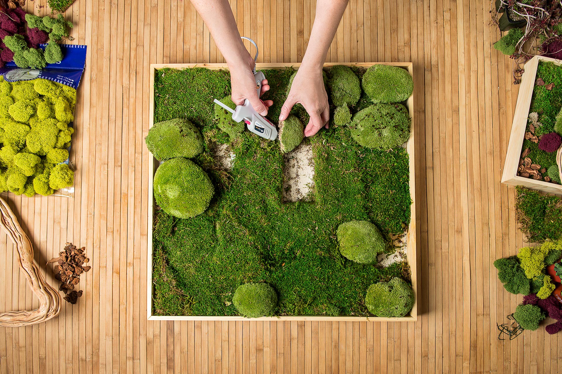 DIY Preserved Moss Wall Art Kit, Beach Glass