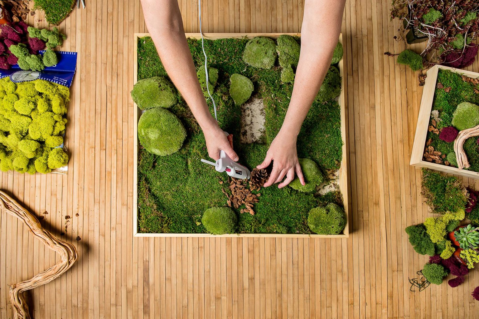 How to Make Your Own Moss Wall SuperMoss