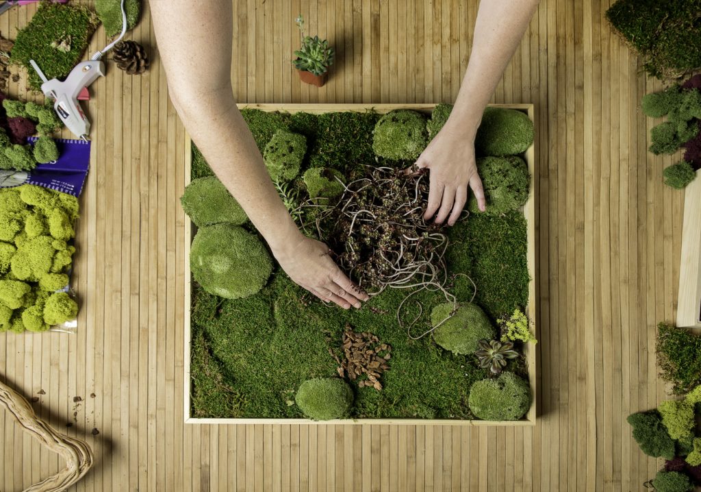 How to Make Your Own Moss Wall SuperMoss