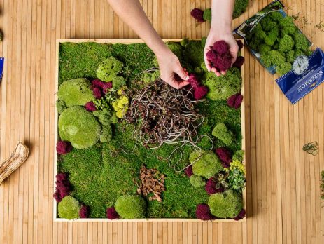 How to Make Your Own Moss Wall