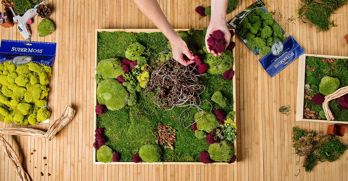 How to Make Your Own Moss Wall