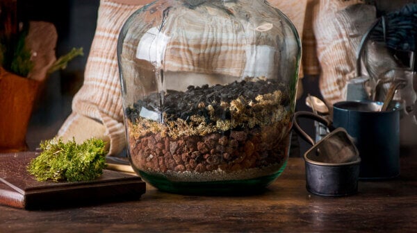 Horticultural Activated Charcoal