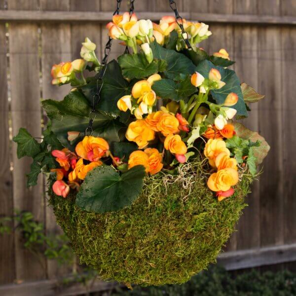 MossWeave Mini Hanging Basket Set of 4, Fresh Green