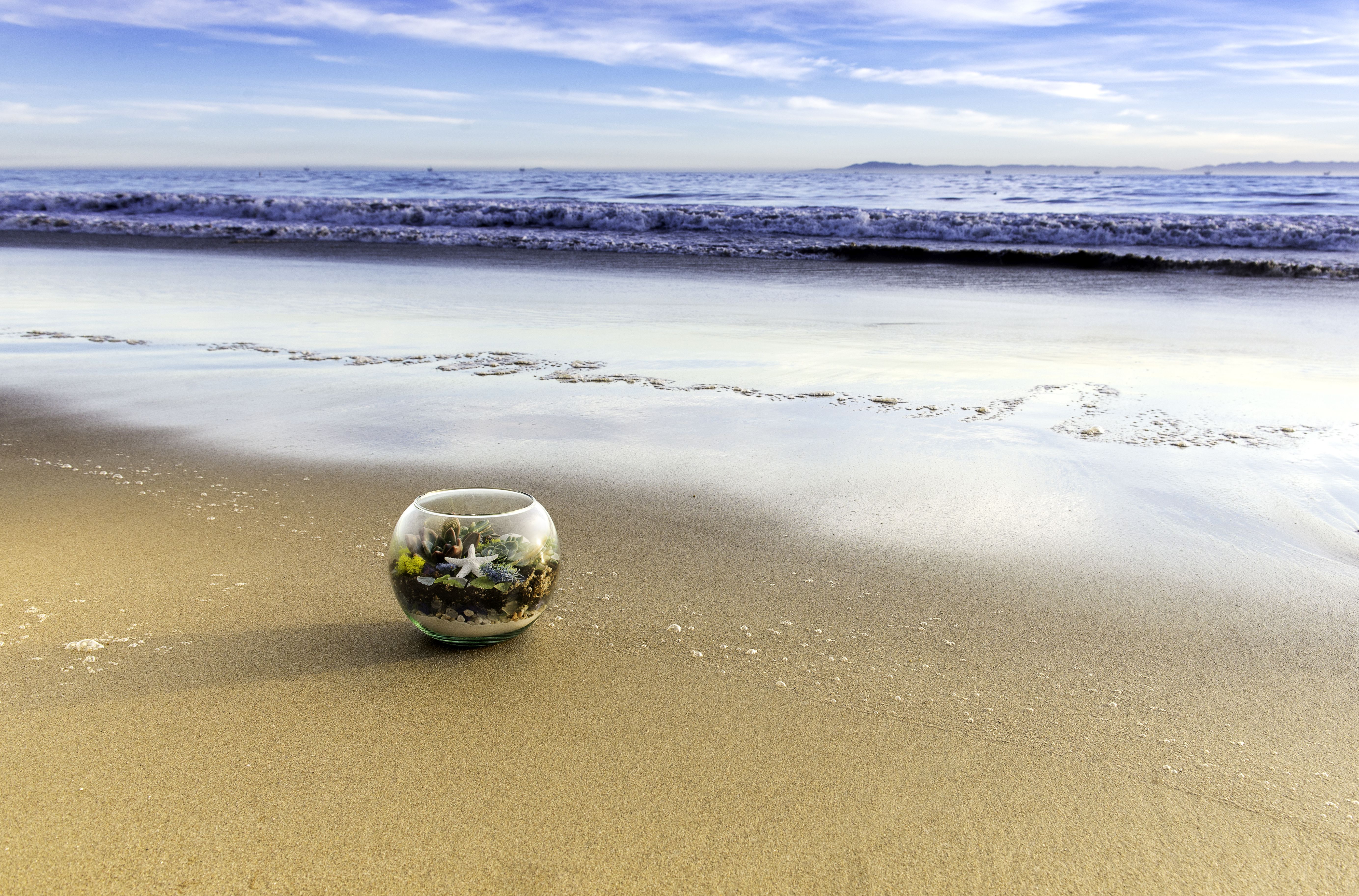 DIY Beach Terrarium