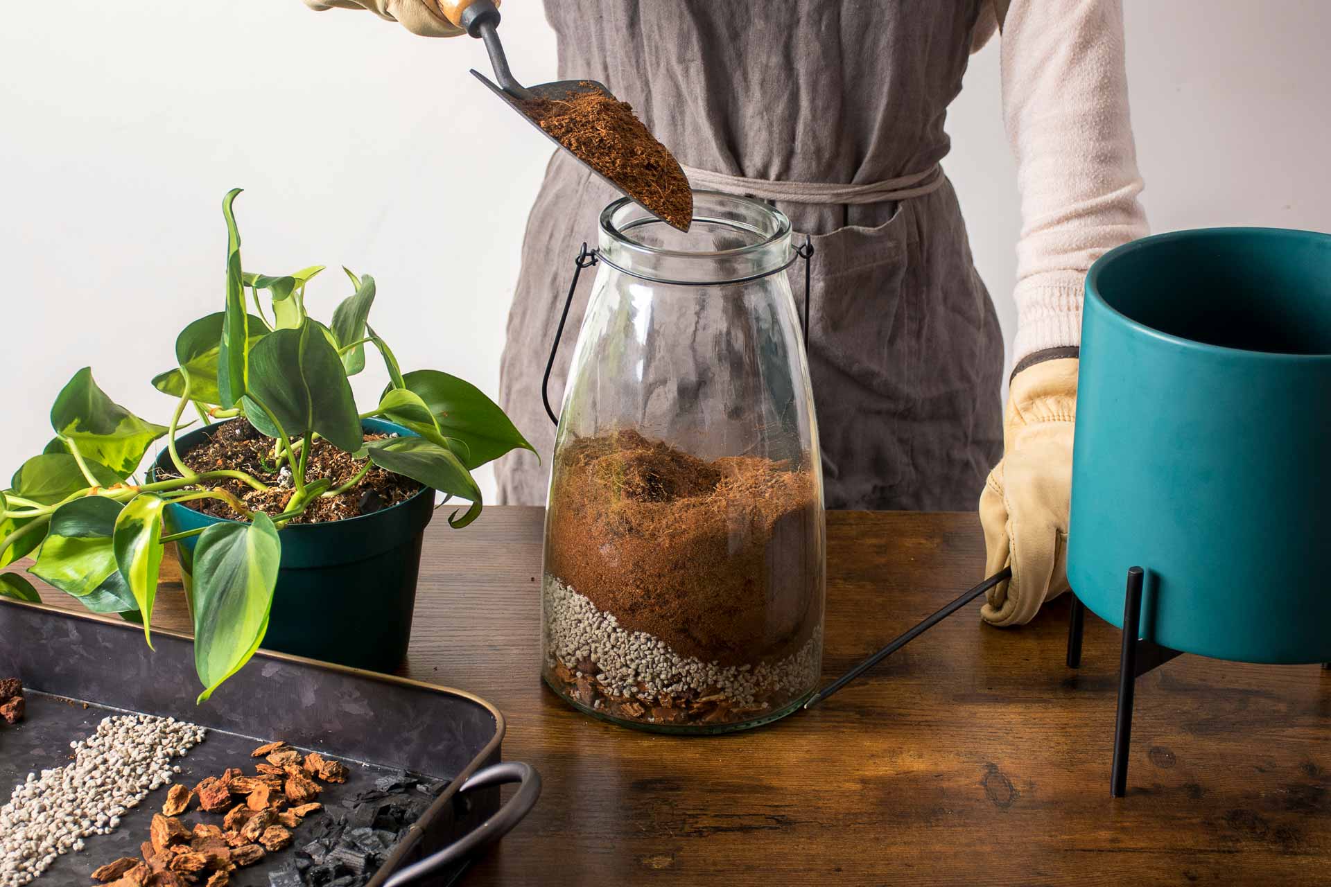 Succulent Terrarium Planter Kit, DIY Set with Soil, Pumice, Horticultural  Charcoal, Sphagnum Moss, Red Lava Rock