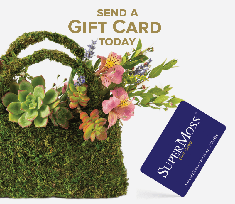 Send a SuperMoss Gift Card Today