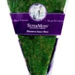 InstantGreen_Christmas_Tree_Skirt_Green_36in_22460