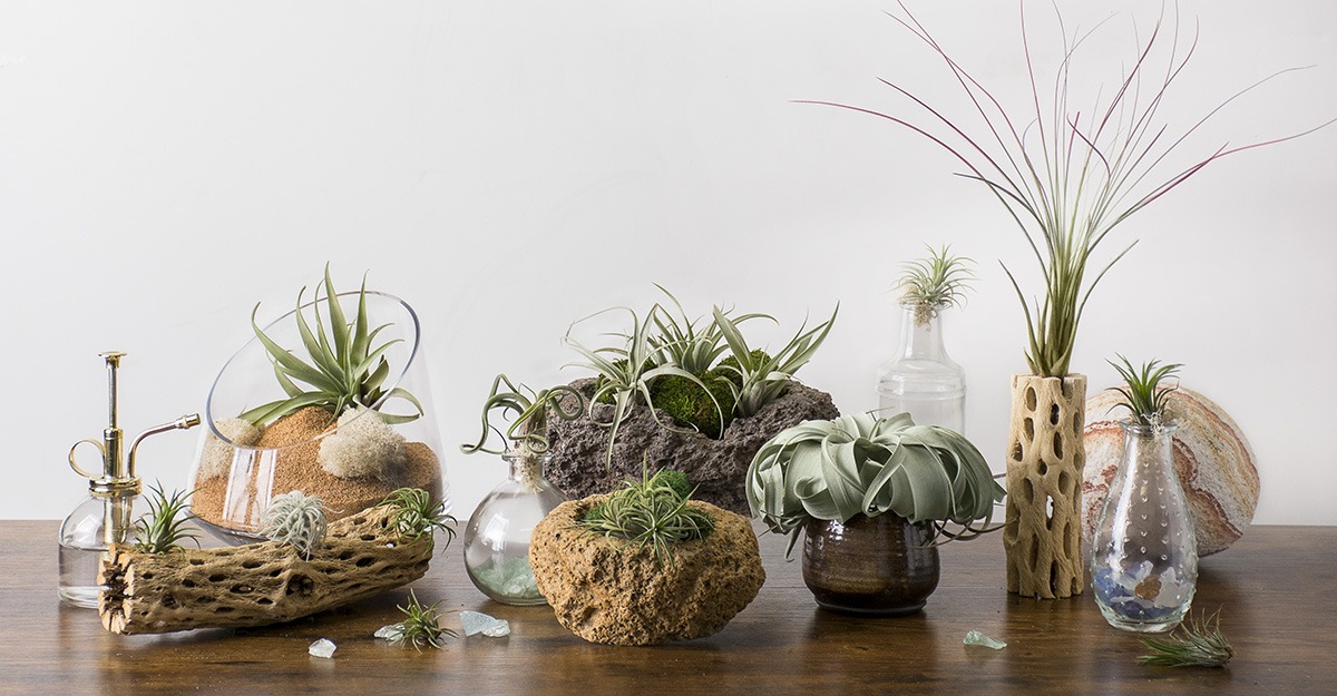 Small sea stones in a glass vessel. The idea of decorating the