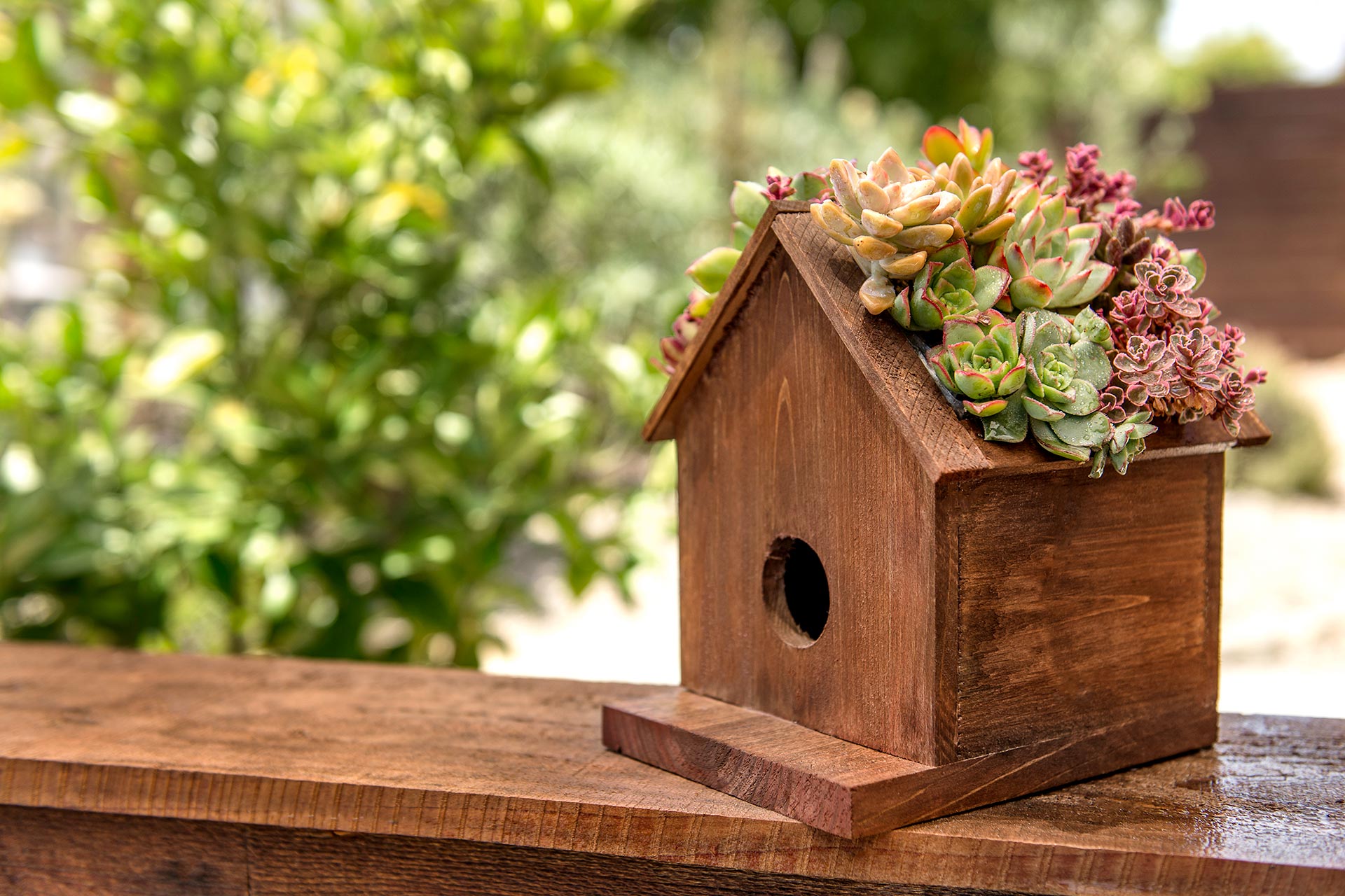 Jade Plantable Birdhouse