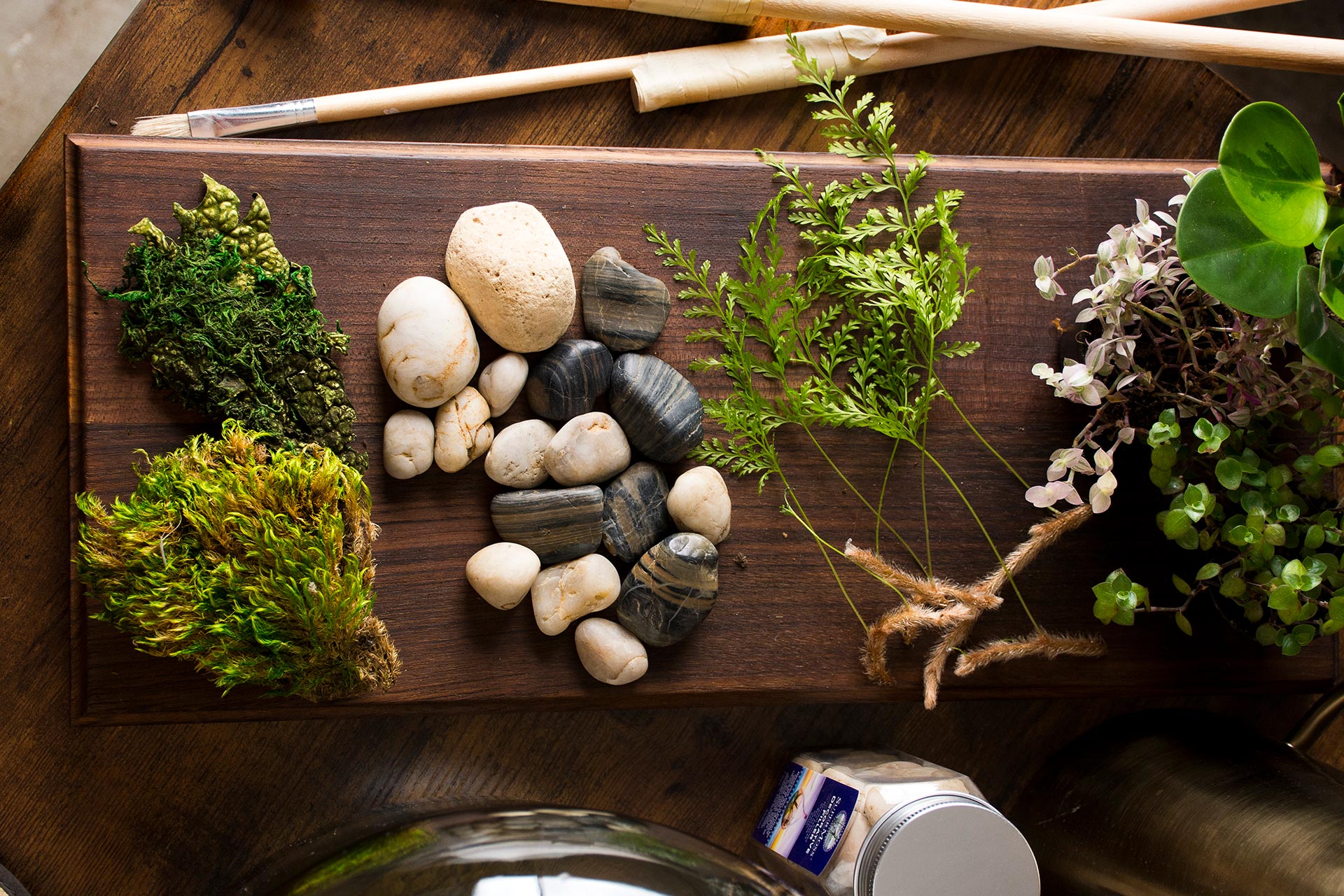 botanical elements for bottle garden 