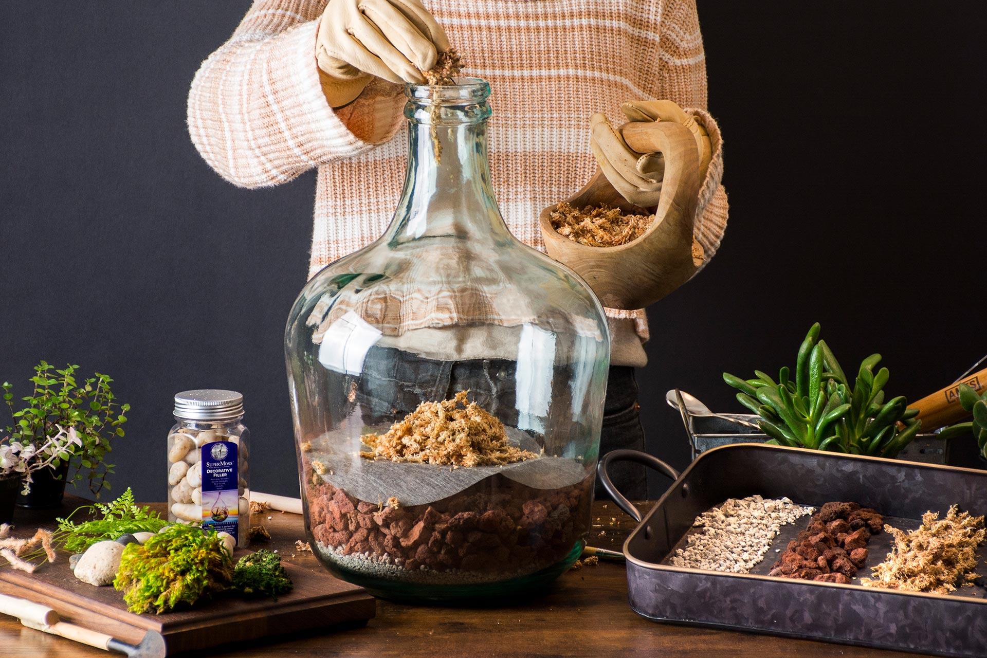 sphagnum moss in bottle garden 