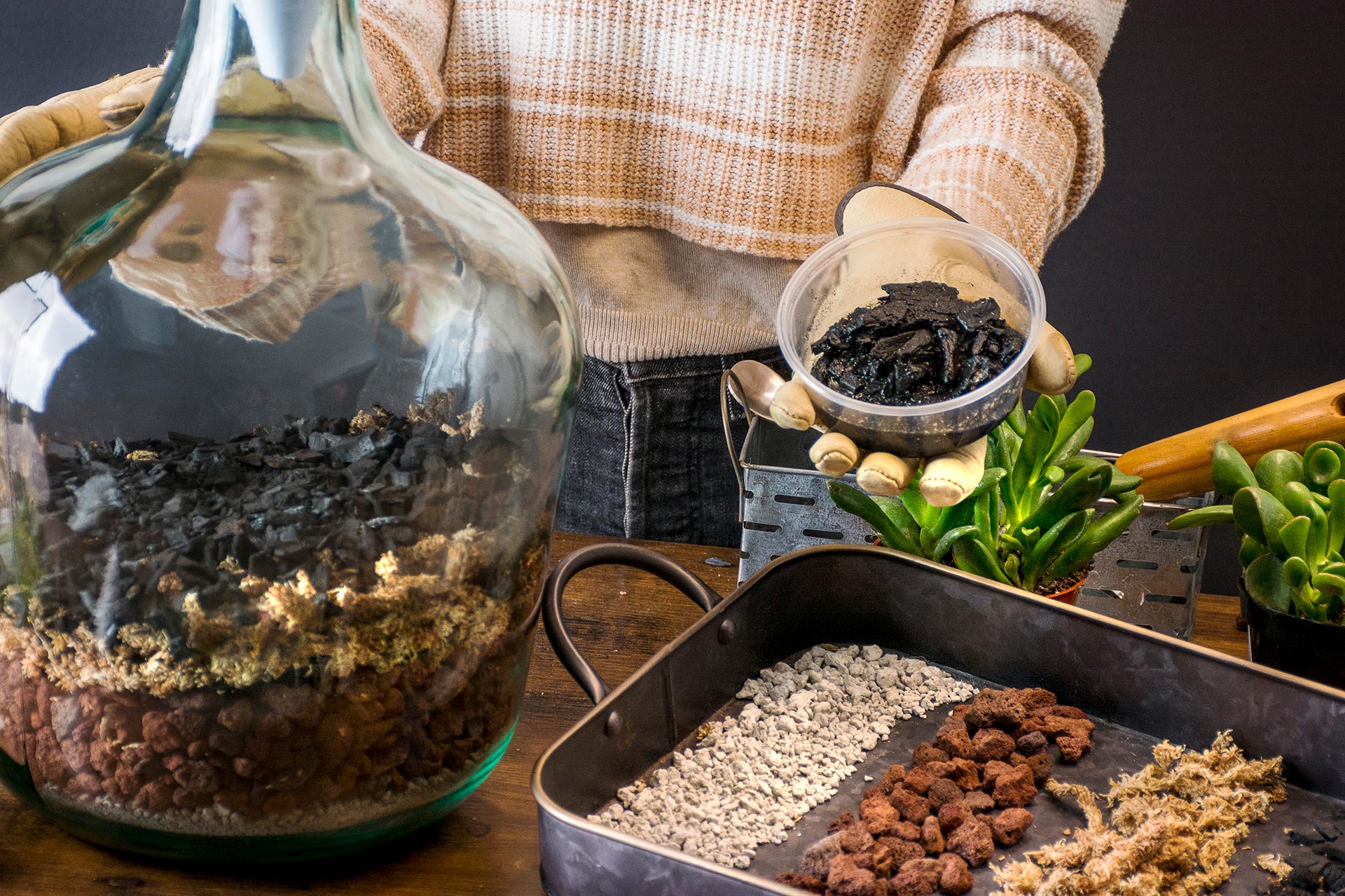 use decomposers to get rid of mold in closed terrariums 