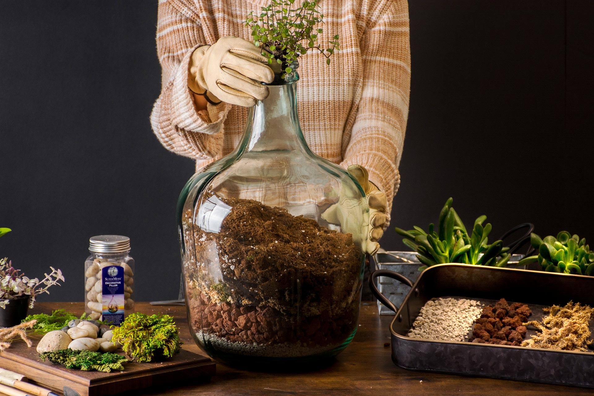 putting plants in a bottle garden 