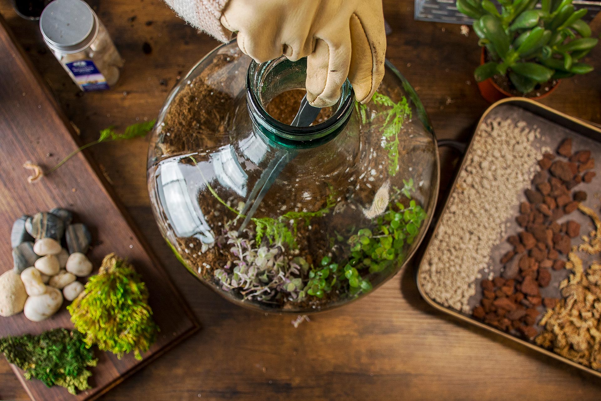 tweezers are an important terrarium tool