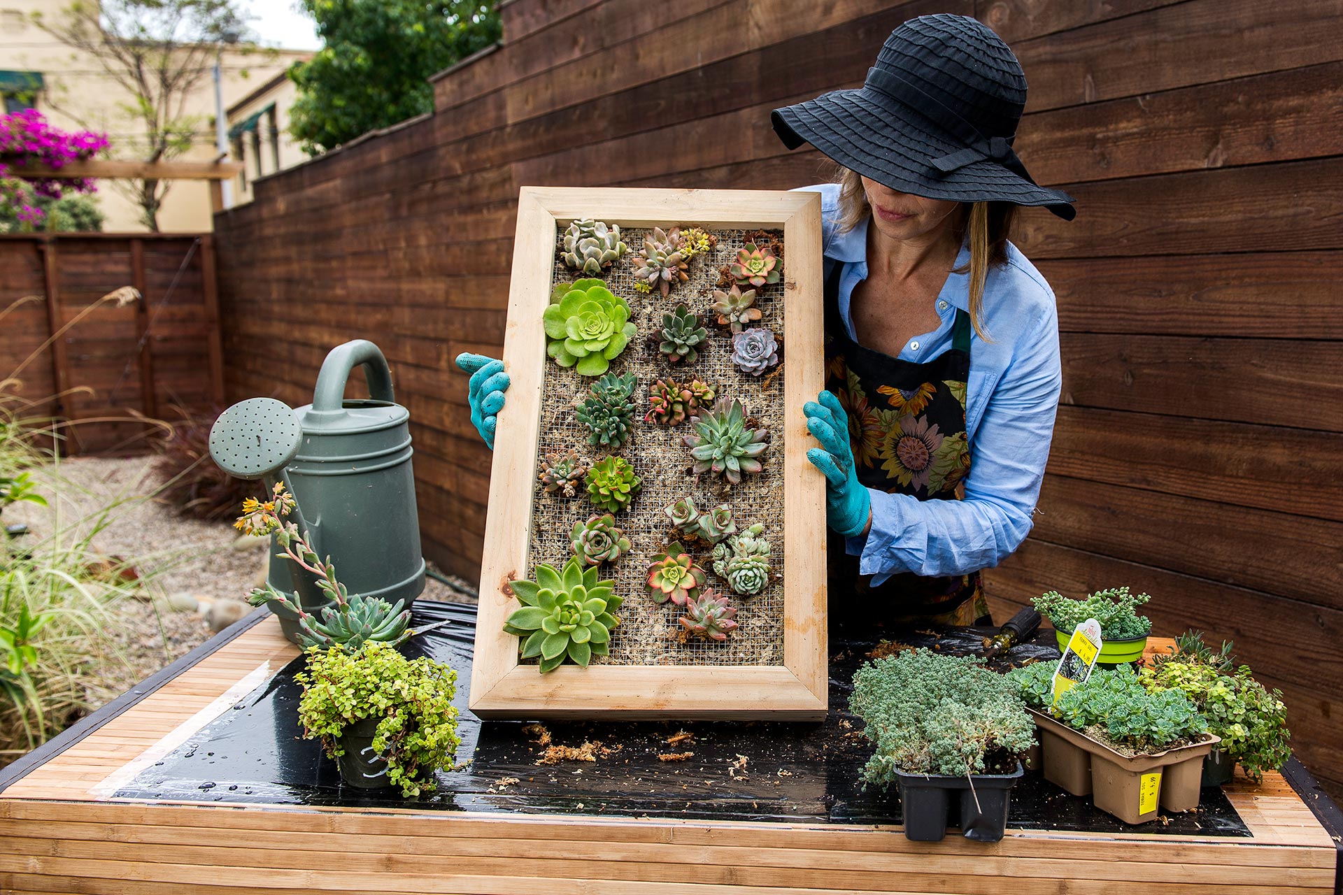 Sphagnum Moss Living Frame