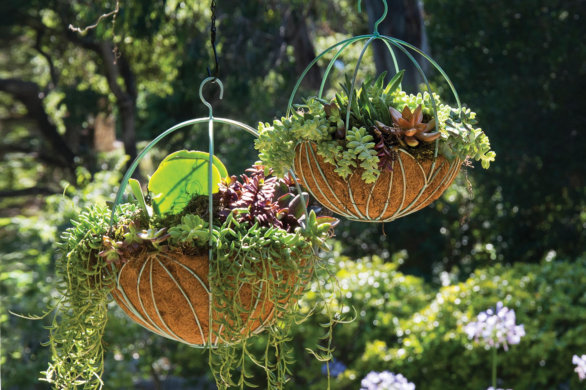 Leeds Sphere Hanging Basket 