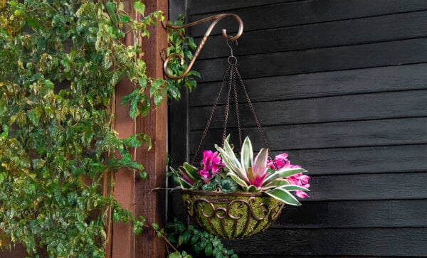 Black Hammer Planter Bracket, Lancaster, 12"