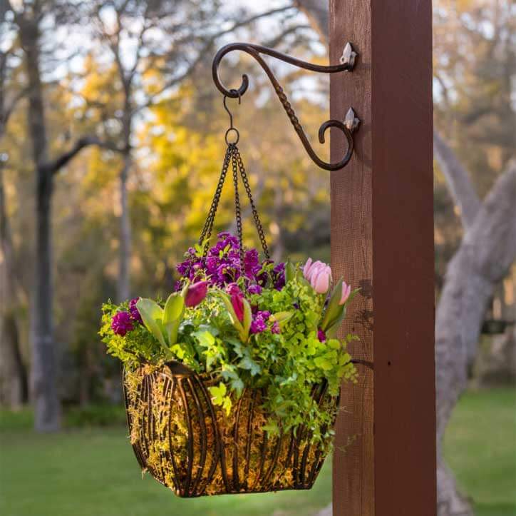 Black Hammer Planter Bracket, Lancaster, 12" #3