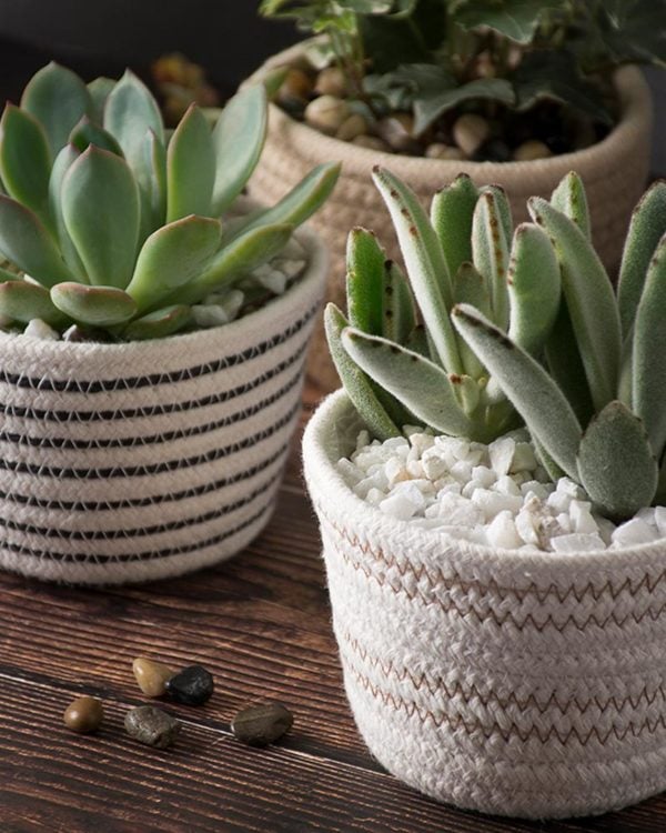 SoftWeave Planters Mixed Case Set