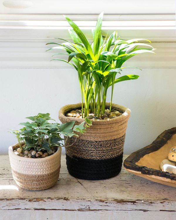 softweave planter with houseplants