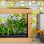 tabletop LED garden lifestyle image