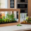 tabletop led garden with salad