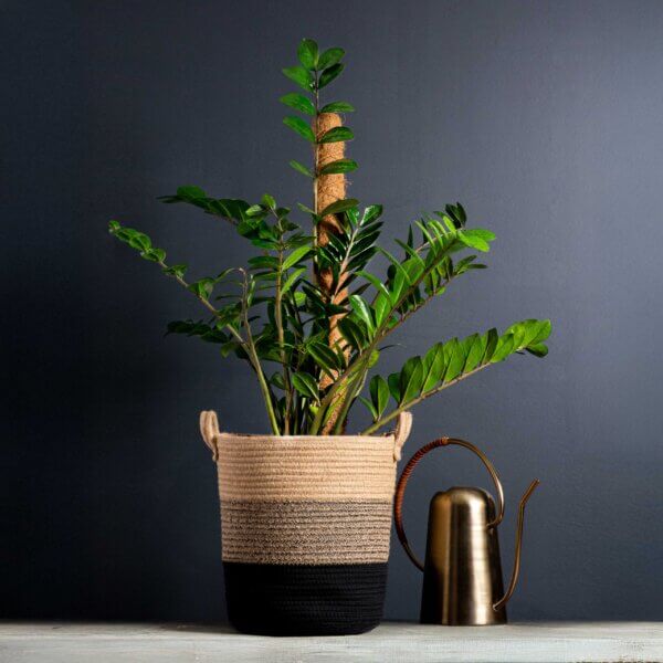 SoftWeave 12" Planters