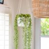 54030_SoftWeave-Hanging-Planter_8in_Clouds_lifestyle