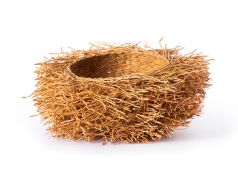bird nest planter