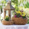 bird nest basket