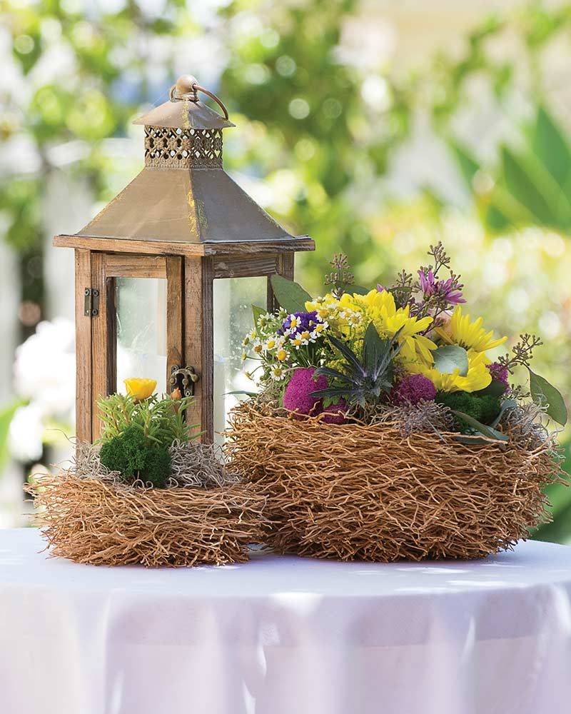 Bird Nest Basket SuperMoss