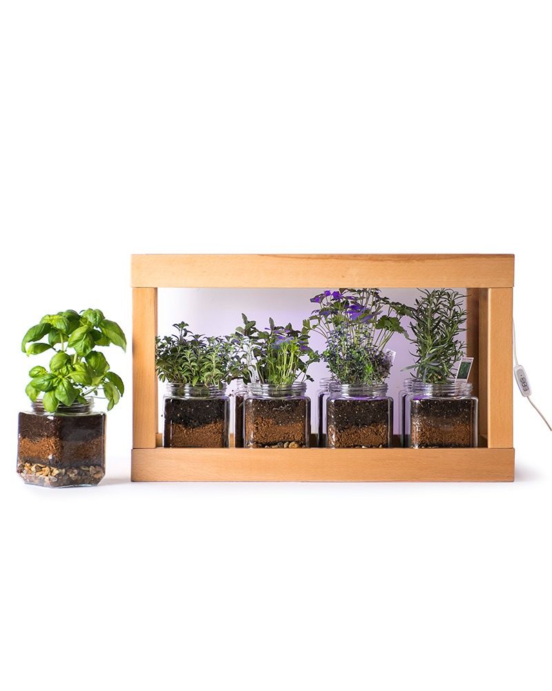 24V Low Indoor Herb Garden with Timer Function Plant Grow LED Light Kit 