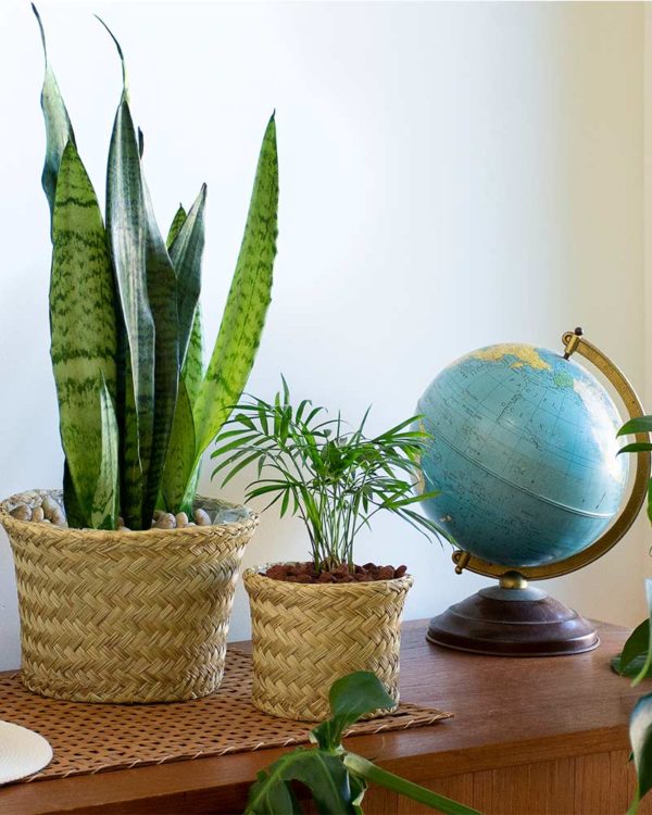 creekside palmweave basket