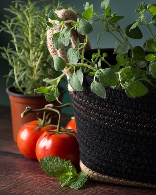 SoftWeave Woven Window Box Planter with Kitchen Herbs