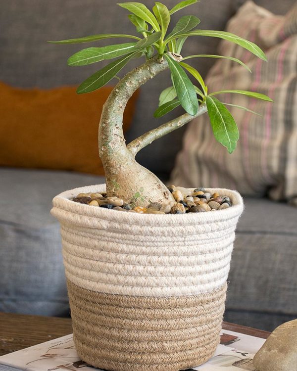 SoftWeave Planter Cinder