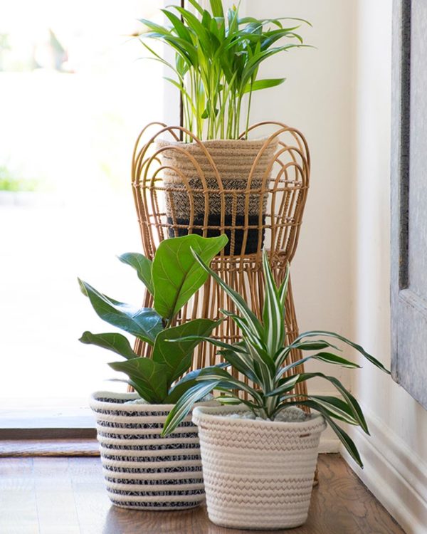 6 in indoor planter baskets set
