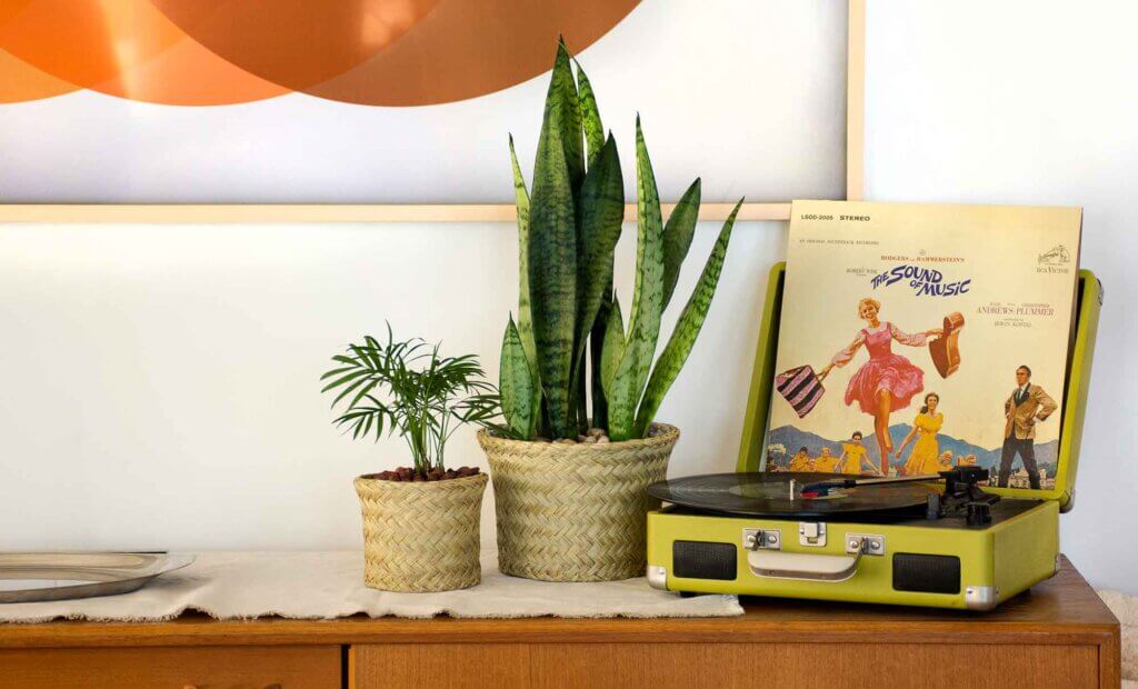 Creekside PalmWeave Basket #1