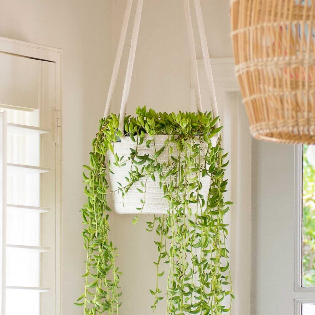 SoftWeave 8" Hanging Planters #1