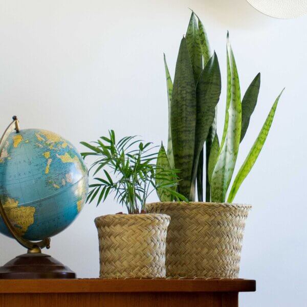 Creekside PalmWeave Basket