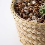 palmweave basket and cactuses
