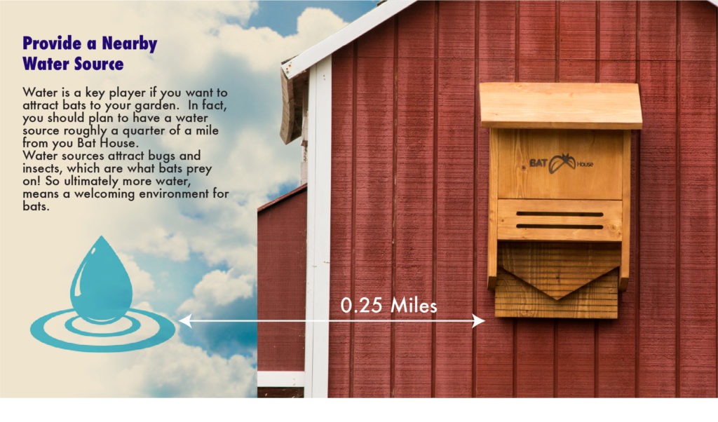 How to Attract Bats to your Garden SuperMoss